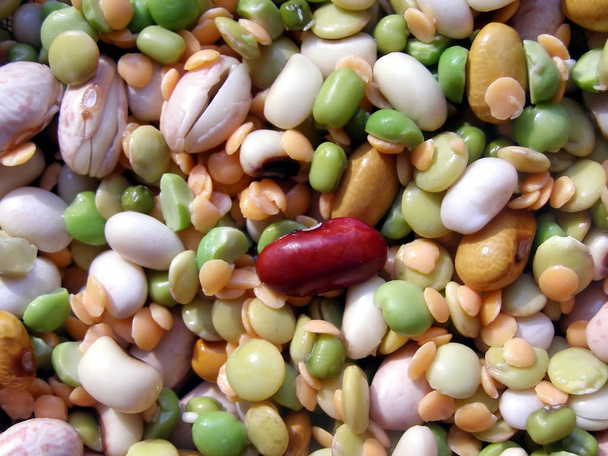 many different beans - Photo, Image