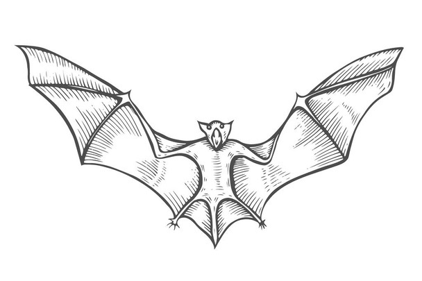 Screaming flying bat - Вектор, зображення