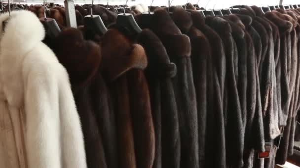 Vestiti e pellicce di lusso in un negozio di moda al dettaglio
. - Filmati, video