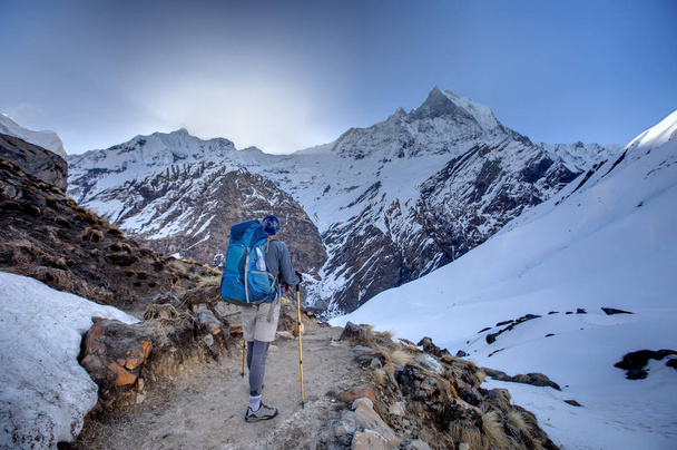 Trekker on the way to Annapurna base camp, Nepal - Foto, Imagen