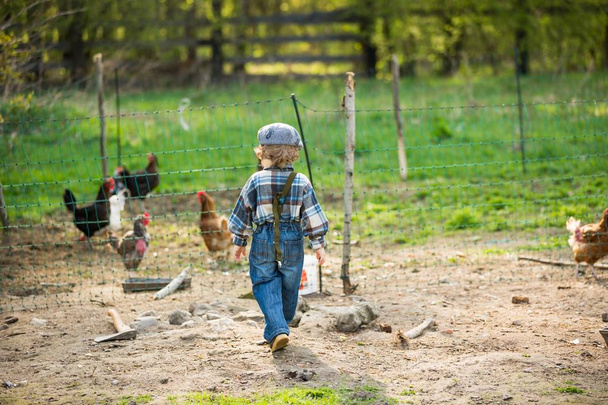 Kleine jongen in de buurt van kippen boerderij. Kleine landbouwer - Foto, afbeelding