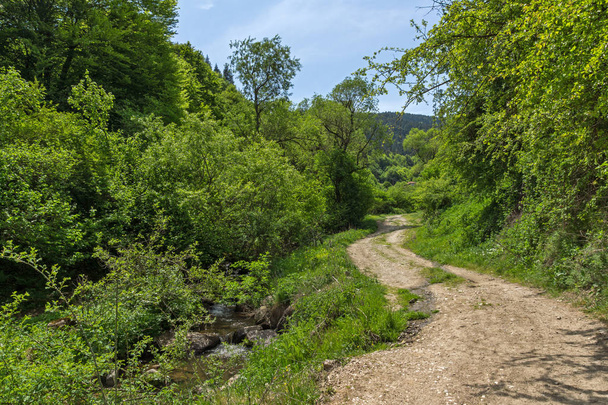 Весенний пейзаж Зеленых холмов возле деревни Фотиново на горе Родопес, Пазарджикская область, Болгария
 - Фото, изображение