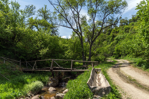 Pont en bois sur la rivière Fotinovo près du village de Fotinovo dans la montagne Rhodopes, région de Pazardzhik, Bulgarie
 - Photo, image