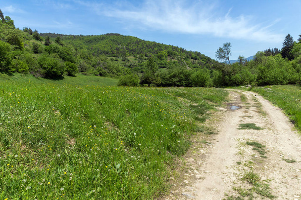 Spring landscape of Green Hills near village of Fotinovo in Rhodopes Mountain, Pazardzhik region, Bulgaria - Fotó, kép