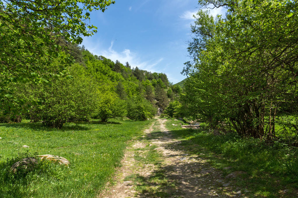 Spring landscape of Green Hills near village of Fotinovo in Rhodopes Mountain, Pazardzhik region, Bulgaria - Fotó, kép