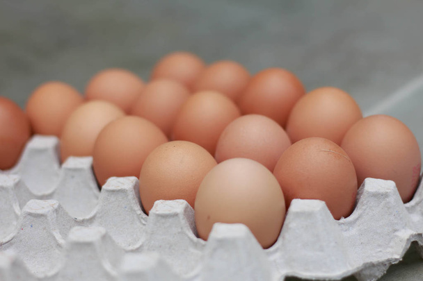Cerrar Huevos colocados en paneles de huevos de papel
. - Foto, imagen