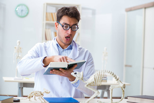 Grappige gekke student dokter die dierlijk skelet bestudeert - Foto, afbeelding