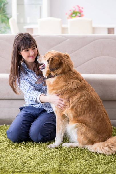Mujer feliz dueño del perro en casa con golden retriever - Foto, Imagen