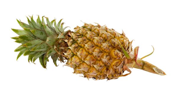 Nahaufnahme gelber reifer Ananas auf weißer Rückengruppe - Foto, Bild