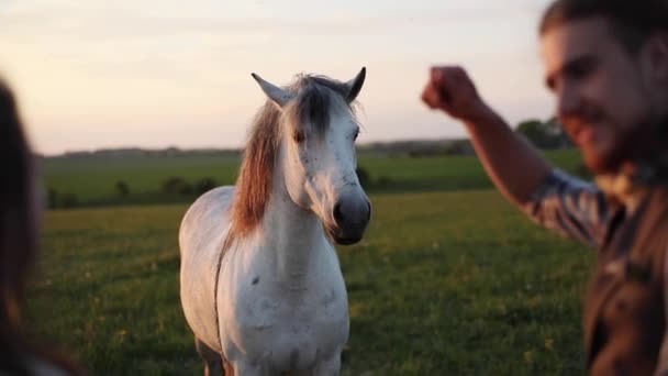 Onnellinen pari menossa ratsastaa Pat valkoinen hevonen maaseudulla vihreä defocused tausta ilta valo hidastettuna. Mies nainen tyttöystävä romanttinen päivä ulkona maatilan luonto. Eläinten kasvatus maatilan elämäntapa
 - Materiaali, video
