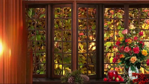 φθινόπωρο παράθυρο λουλούδια καιρός - Πλάνα, βίντεο