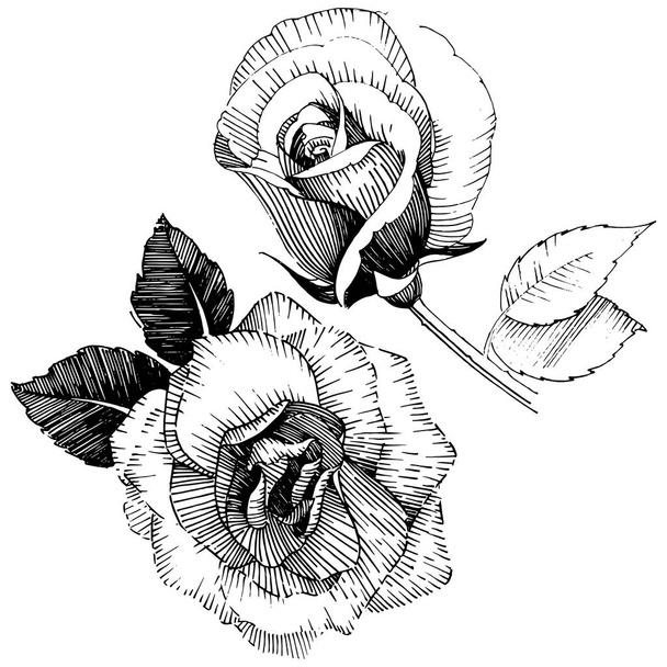 Flor silvestre rosa flor en un estilo vectorial aislado
. - Vector, imagen