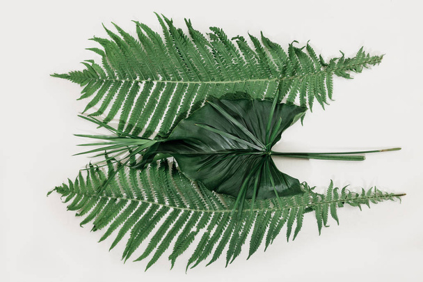 veel wit verschillende tropische textuur groene bladeren patroon achtergrond natuurlijke kunst briefkaart frisse zomer - Foto, afbeelding