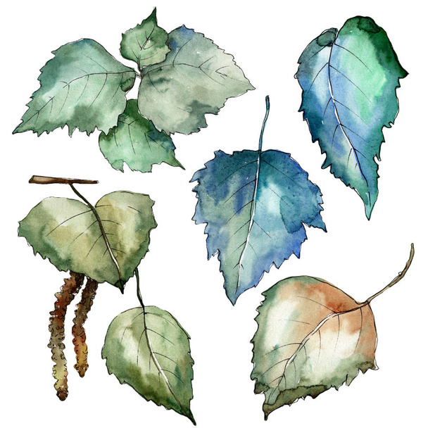 Leaves birch in a watercolor style isolated. - Zdjęcie, obraz