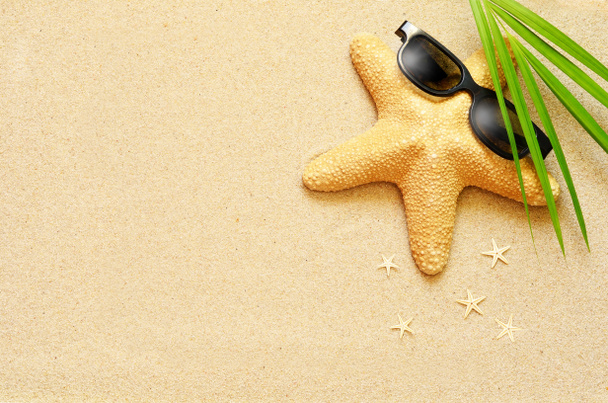 Funny starfish on the summer beach with sand - 写真・画像