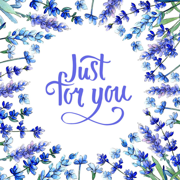 Blue lavender. Floral botanical flower. Wild spring leaf wildflower frame in a watercolor style. - Valokuva, kuva