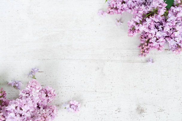 Fresh lilac flowers - Foto, immagini