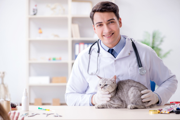 Weterynarz badający chorego kota w szpitalu - Zdjęcie, obraz