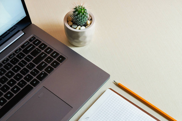 Werktafel met laptop, notebook, pen en cactus - Foto, afbeelding