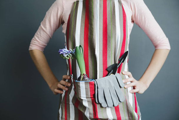 woman stands in striped apron with hyacinth and small metal shov - Фото, зображення