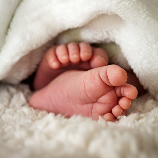 Baby toes - Photo, Image