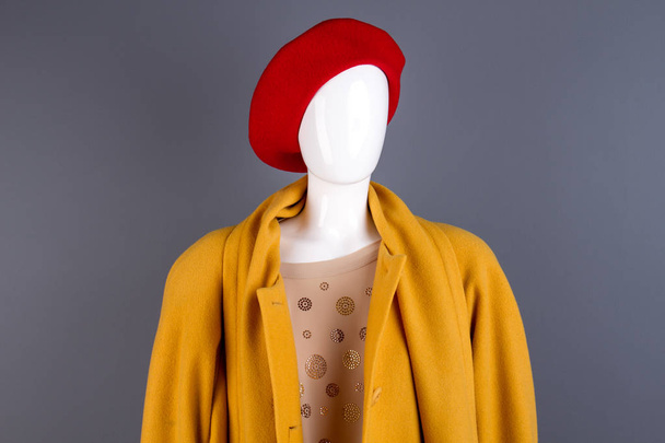 Portrait of mannequin in autumn outfit. - Photo, Image