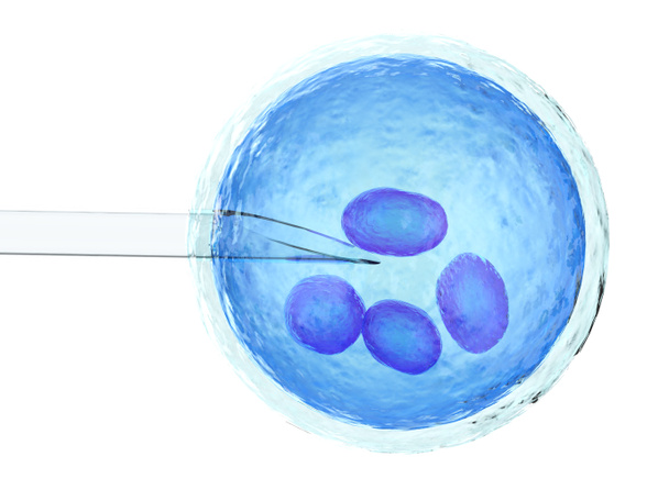 τεχνητή σπερματέγχυση ή εξωσωματική γονιμοποίηση - Φωτογραφία, εικόνα
