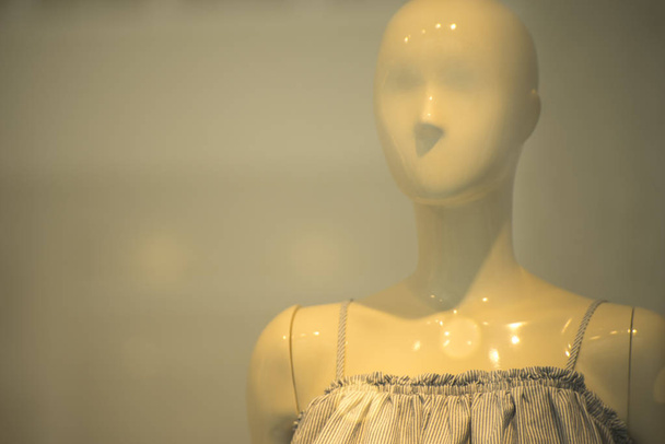 Womens fashion shop window - Valokuva, kuva