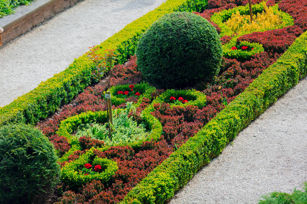 Hermosa decoración de jardín de arbustos y flores en palacio
. - Foto, imagen