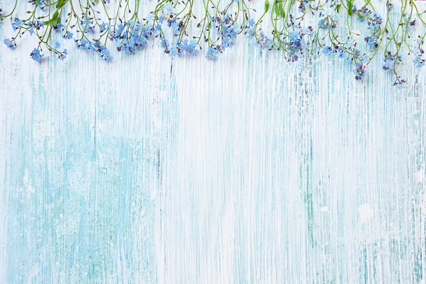 Fondo de primavera. Flores de olvido-me-nots azules sobre fondo pastel
 - Foto, imagen