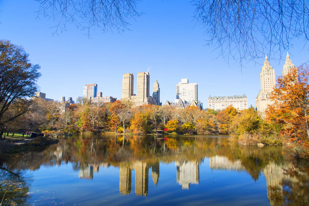 Nova Iorque, Central Park
 - Foto, Imagem
