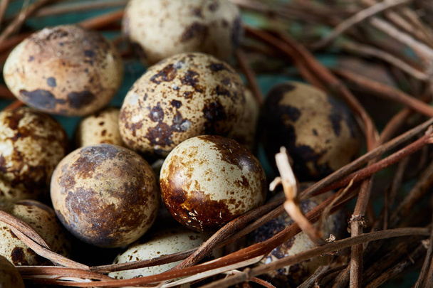 Conceptual still-life with quail eggs in hay nest over blue textured background, close up, selective focus - Zdjęcie, obraz