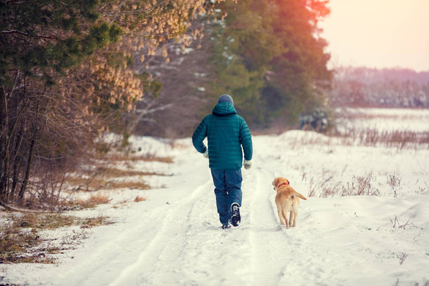 Man with dog walking on country road along the pine forest in winter back to camera - 写真・画像