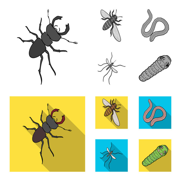 Arthropods insect mosquito, bee.Earth worm, caterpillar,vermicular set collection icons in monochrome,flat style vector symbol stock isometric illustration web. - ベクター画像