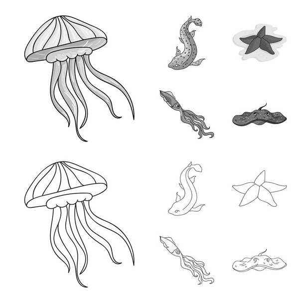 Jellyfish, squid and other species.Sea animals set collection icons in outline,monochrome style vector symbol stock illustration web. - Вектор, зображення