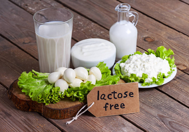 melk, yoghurt, mozzarella en kaas met achtergrond - lactose vrij voedsel - Foto, afbeelding