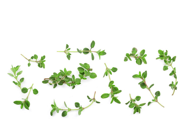 Fresh thyme spice isolated on white background with copy space for your text. Top view. Flat lay pattern - Photo, Image