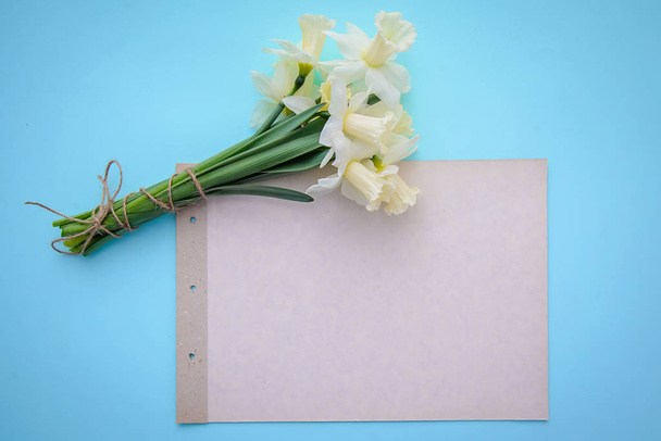 Daffodils on blue background with a piece of paper with copy space - Foto, Imagen