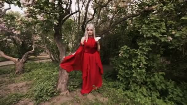 Казкова жінка ельф в червоній сукні, вона в лісі
. - Кадри, відео