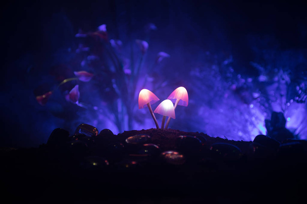 Three fantasy glowing mushrooms in mystery dark forest close-up. Beautiful macro shot of magic mushroom or three souls lost in avatar forest. Fairy lights on background with fog. - Fotó, kép