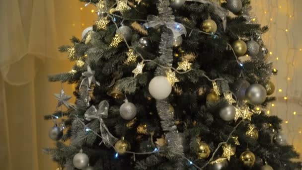 Díszített karácsonyfa. - Felvétel, videó