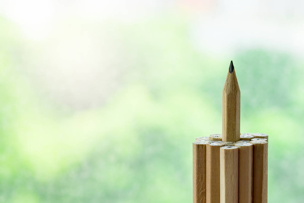 outstanding pencil stand higher than other. successful and achievement concept - Photo, Image