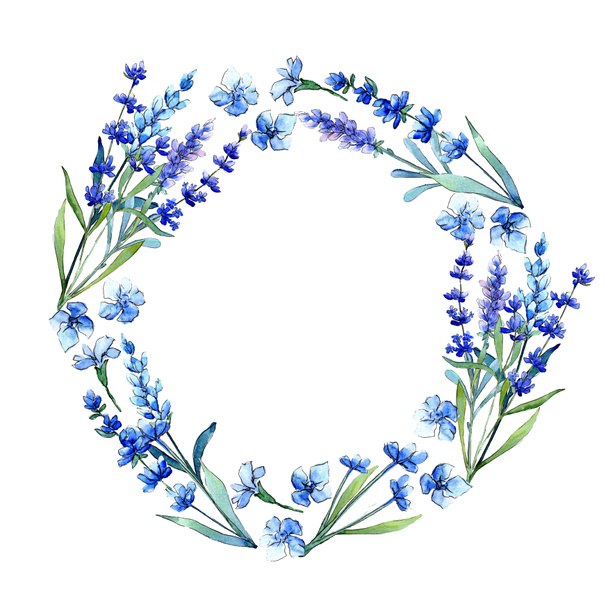 Kék levendula. Virágos botanikai virág. Vad tavaszi levél vadvirág keret akvarell stílusú. - Fotó, kép