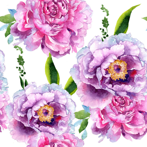 Wildflower peony pink flower pattern in a watercolor style. - Photo, Image