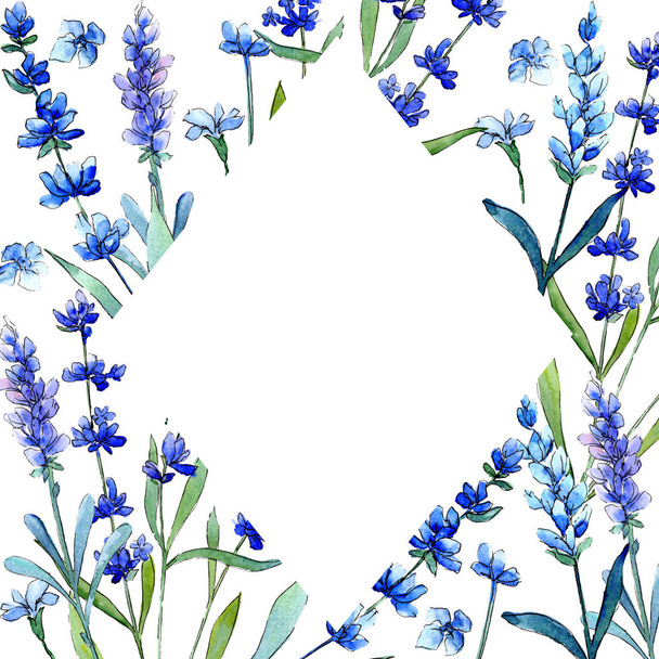 Lavande bleue. Fleur botanique florale. Feuille de printemps sauvage cadre de fleurs sauvages dans un style aquarelle
. - Photo, image