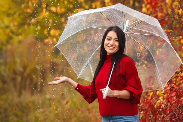 Cheerful young woman with umbrella in autumn park - Photo, Image