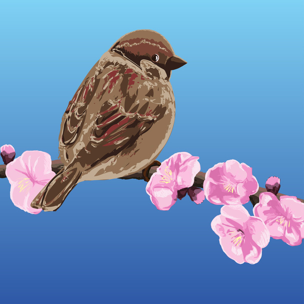 Sparrow on a branch of cherry blossoms - vector illustration - Vector, Image