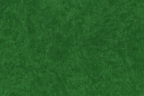 Фотографія художника грубого помелу зерна темно зелений Келлі пастельних папір строкаті текстури зразка - Фото, зображення