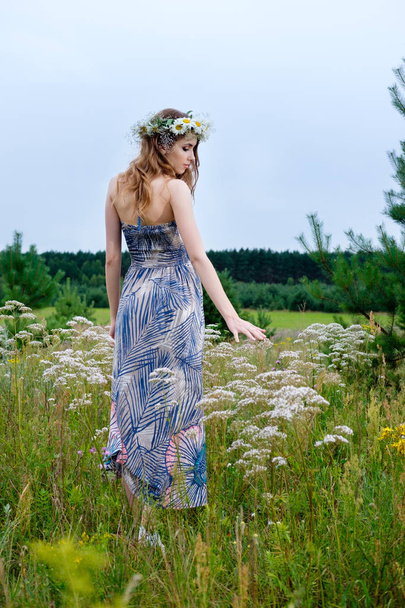 portrait of young pretty woman with circlet of camomile flowers  - 写真・画像