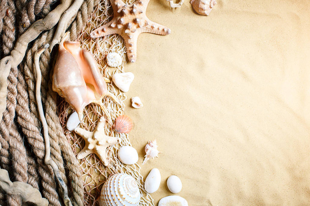 Landscape with shells on tropical beach. Rest on the beach. Travel. Background with copy space. - Foto, imagen